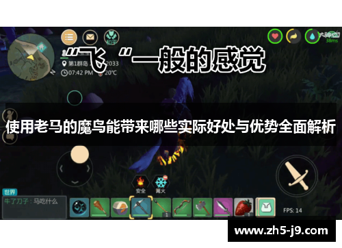 使用老马的魔鸟能带来哪些实际好处与优势全面解析