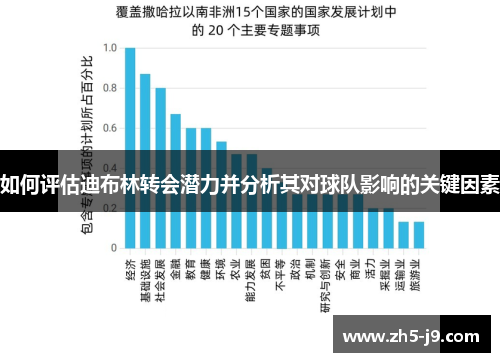 如何评估迪布林转会潜力并分析其对球队影响的关键因素