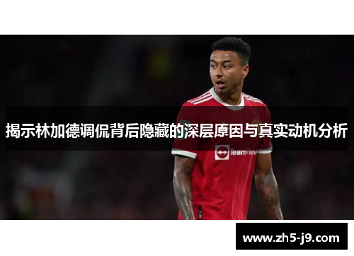 揭示林加德调侃背后隐藏的深层原因与真实动机分析