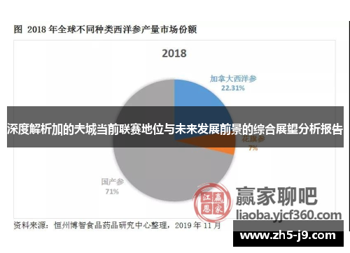 深度解析加的夫城当前联赛地位与未来发展前景的综合展望分析报告 深度解析加的夫城当前联赛地位与未来发展前景的综合展望分析报告
