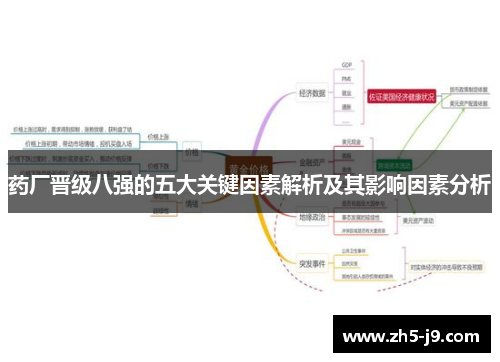 药厂晋级八强的五大关键因素解析及其影响因素分析