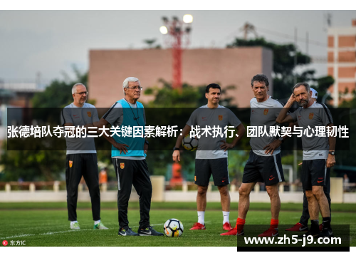 张德培队夺冠的三大关键因素解析：战术执行、团队默契与心理韧性
