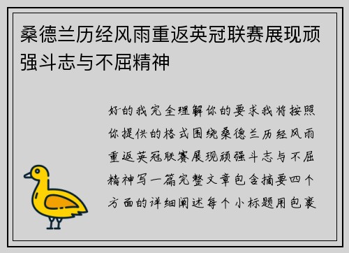 桑德兰历经风雨重返英冠联赛展现顽强斗志与不屈精神
